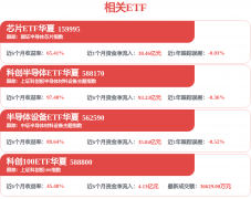 <b>创人工智能ETF华夏(589010)慎密上证科创板人工智能</b>